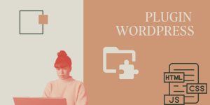 plugin wordpress