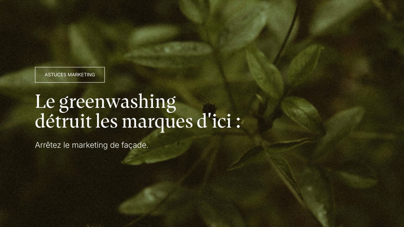 Illustration du marketing de façade et du greenwashing : un mur industriel gris repeint à la va-vite en vert.